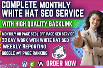 provide complete monthly SEO service to rank any shopify or  wordpress website