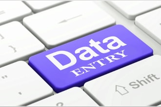 do excel, spss, and stata data entry, arrange data, data analysis, typing