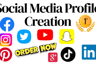 250 HQ social media profile creation SEO backlinks to help your google rankings