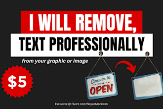 remove text professionally from your graphic or image
