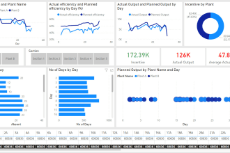 create professional financial dashboards for businesses and assignments