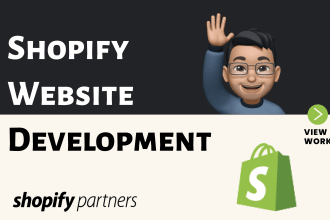 build you a professional shopify store