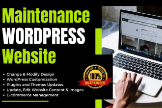 do wordpress website maintenance, support and update wordpress website