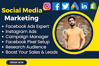 be facebook ads coach, campaign manager, social media marketing, instagram ads