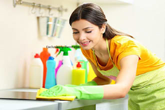 design cleaning booking service wordpress website