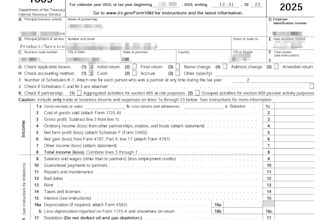file form 1065 for multi members llc