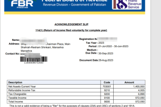 file pakistan income tax return