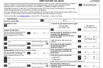 prepare your canadian corporate tax return