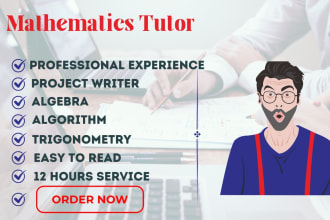 deliver services as a mathematics project writer and tutor