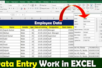 do expert data entry specialist for excel, web research, and data mining
