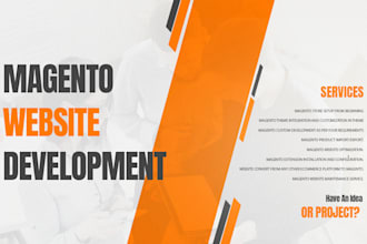 expert magento 2 developer