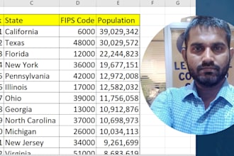 streamlined excel data collection and data entry