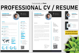 design a unique infographic style CV or resume in 2h