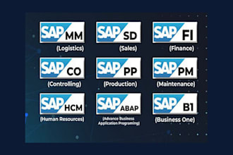 be sap a1 b1 integration and support specialist