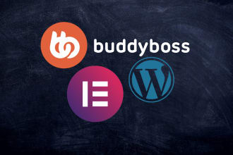 customize buddyboss and fix bugs
