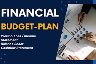 do a budget, financial forecast, projections or model for your startup