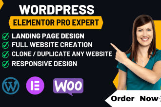 elementor pro expert, landing page design, fix issues custom design