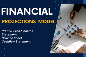 do financial consulting, forecast, projections and profit and loss
