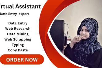 do urgent actual and fastest data entry in low price