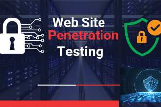 secure your website with professional penetration testing