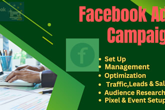 setup facebook ads for sales and  using audience research