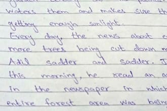 write beautiful handwriting service provider