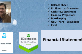 prepare the balance sheet, and profit or loss statement