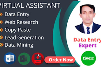 do data entry, web research and lead generation expert