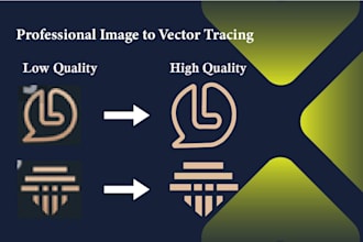convert your raster image or logo into vector