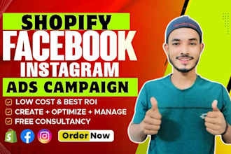 setup facebook and instagram ads campaign for leads and sales