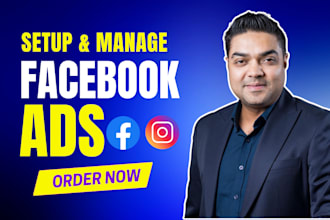 setup facebook and instagram ads campaign for leads and sales