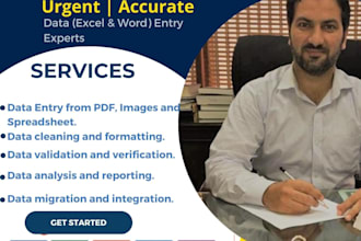 do urgent and accurate data entry work