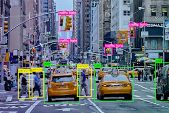 conduct data annotation and image labelling
