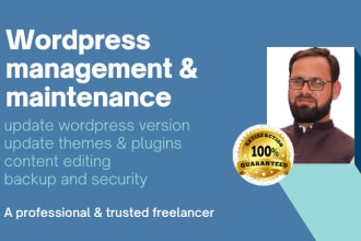 manage wordpress website, monthly wordpress maintenance