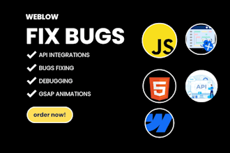 fix bugs in webflow or write custom code in webflow website