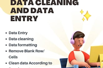 do data entry on excel