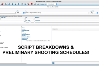make a script breakdown and shooting schedule for your film