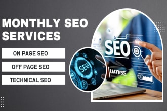 provide monthly SEO service for top google ranking