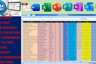 do fastest manual data entry and web research expart