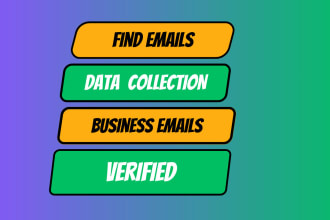 find business email address contact info