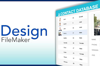 design or redesign filemaker layouts interface
