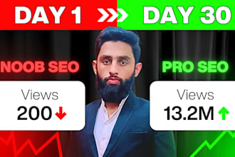 youtube SEO expert optimizations for the channel and videos