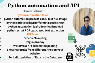 do python automation, python flask, back end and API tasks