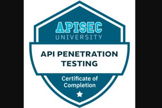 do API penetration testing with detailed report