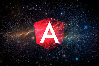 experienced angular developer for modern web apps