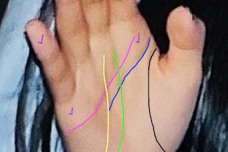 read your favorite celebritys palm