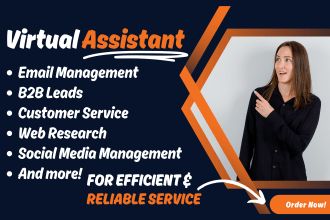 be professional virtual assistant for lead generation and admin support