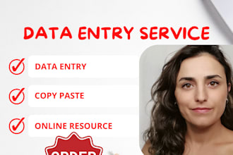 be your virtual assistant for data entry, copy paste