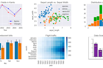 do professional data analysis and visualization  using python and write reports
