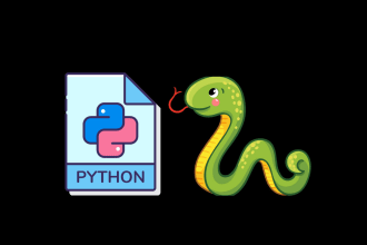do your python projects